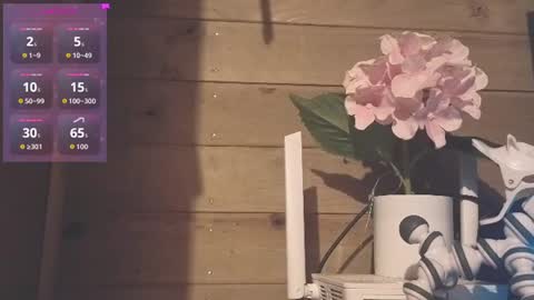 Snapshot of vickyvalencia2 chatting on July 2026 03:13:01 AM vickyvalencia2 online show from July 2026 03:13:01 AM