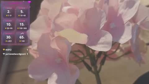 Snapshot of vickyvalencia2 chatting on July 2026 01:09:01 AM vickyvalencia2 online show from July 2026 01:09:01 AM