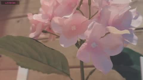 Snapshot of vickyvalencia2 chatting on July 2026 12:25:02 AM vickyvalencia2 online show from July 2026 12:25:02 AM