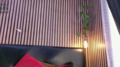 victorira online show from October 2025 07:25:02 PM