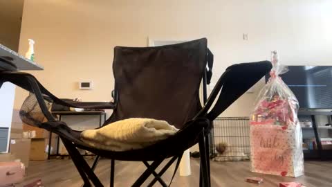 victoryd007 online show from February 2025 07:25:02 PM