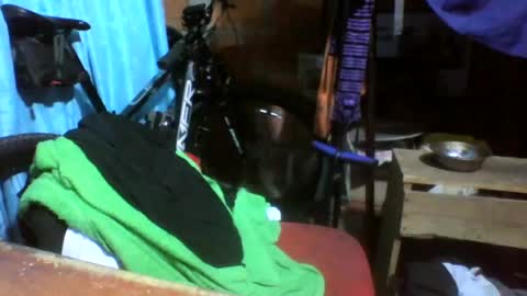 Snapshot of viernes1010 chatting on June 2026 03:03:01 PM viernes1010 online show from June 2026 03:03:01 PM