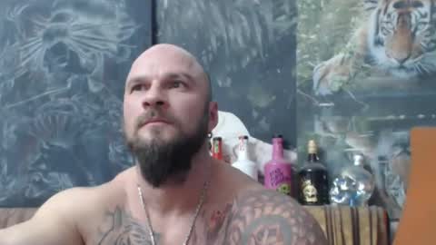 viking online show from December 2025 08:26:01 PM