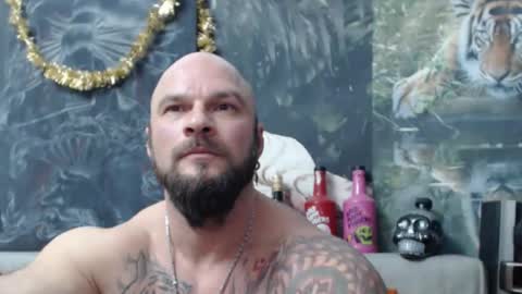 viking online show from January 2026 07:56:02 PM