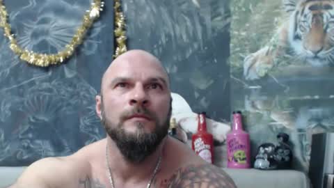 viking online show from February 2026 07:14:02 PM