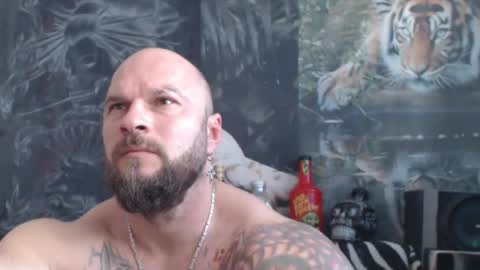 viking online show from April 2026 10:33:01 AM