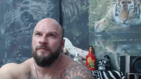 viking online show from April 2026 06:11:02 PM