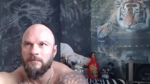 viking online show from April 2026 06:38:02 AM