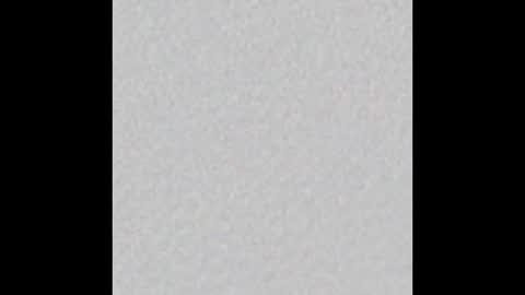 Vincent.  uncut 18cm online show from December 2024 08:12:01 AM