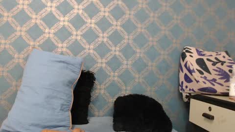 Violeta  online show from December 2024 01:15:02 AM