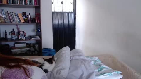 Snapshot of violeta_peter69 chatting on February 2025 08:33:02 PM Violeta Peter online show from February 2025 08:33:02 PM