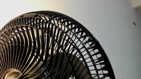 Violet Rose online show from January 2026 08:12:01 PM