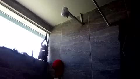 VIPFLEX1 online show from February 2026 03:09:02 PM