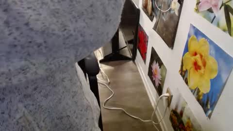 Vixen Fyre online show from December 2024 05:59:02 PM