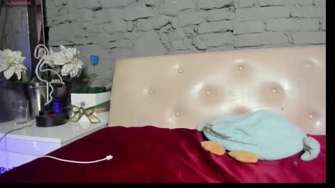 ANA online show from March 2025 11:25:02 AM