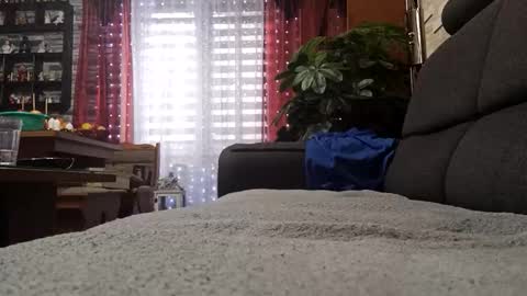 Snapshot of vlami69 chatting on November 2025 08:40:01 AM vlami69 online show from November 2025 08:40:01 AM