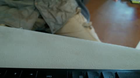 vnpg92 online show from December 2024 07:47:01 PM