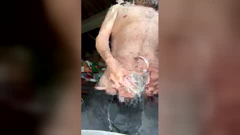 Walter online show from March 2026 05:52:01 PM