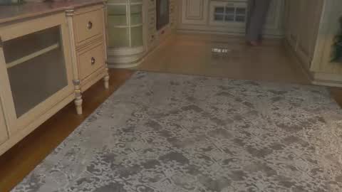 hello guys im Lilian online show from January 2026 03:23:01 AM