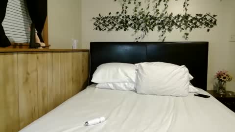 wanderlustgaal online show from December 2025 11:38:02 AM