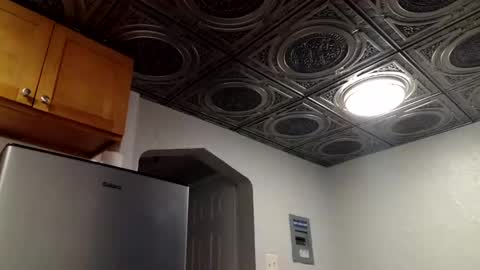 wantstoperform online show from November 2025 01:13:01 PM