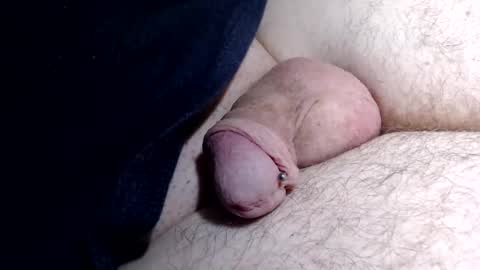 wants online show from December 2024 09:39:01 AM