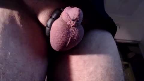 wants online show from February 2025 04:14:01 PM