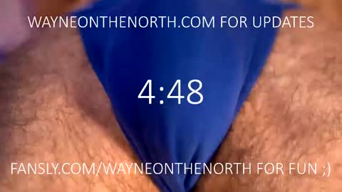 waynenorth online show from February 2025 04:25:02 PM