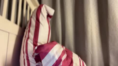 Maggie online show from October 2025 04:07:02 PM