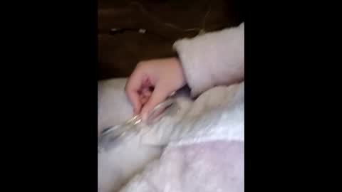 Marina online show from March 2026 10:03:01 PM