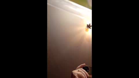 webiran online show from March 2026 04:58:01 AM