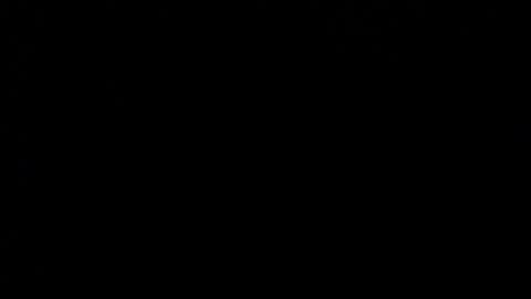 wellingtont online show from December 2025 04:08:01 AM