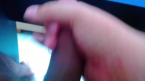 wellingtont online show from April 2026 08:42:02 AM