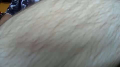 werewolf549 online show from October 2025 07:53:02 AM