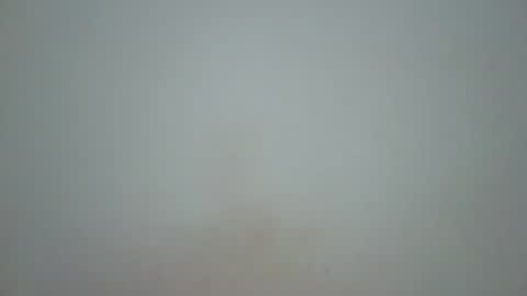 wet_pussieyy online show from November 2025 03:00:01 PM