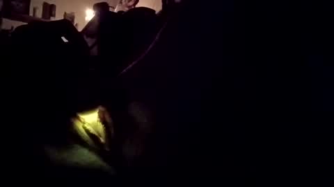 Snapshot of wetpixiepuss chatting on October 2025 07:12:01 AM wetpixiepuss online show from October 2025 07:12:01 AM