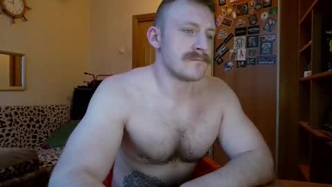 WhiteBull online show from February 2026 06:06:02 AM