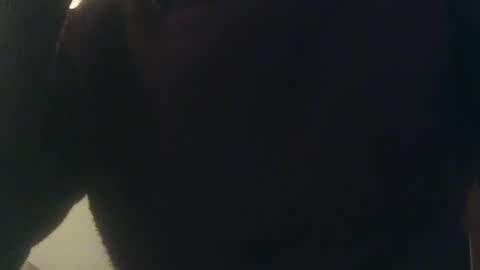 Whiteduke online show from January 2025 12:33:01 AM