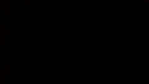 whitehead_lion online show from March 2025 09:15:01 PM