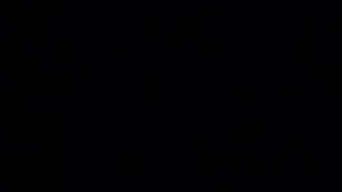 whitehead_lion online show from January 2026 06:13:01 PM