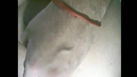 whitelines1991 online show from March 2026 01:02:02 AM