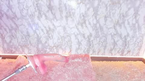 whitneyyfox online show from February 2025 03:37:01 AM