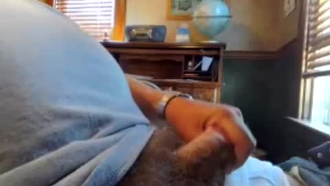 whydog online show from June 2026 08:11:01 PM