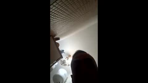 Snapshot of wilddope chatting on March 2026 02:04:02 AM the alpha man online show from March 2026 02:04:02 AM