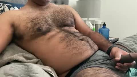 wildhungry online show from February 2025 07:30:01 PM