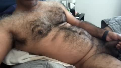 Snapshot of wildhungry chatting on June 2026 04:52:02 PM wildhungry online show from June 2026 04:52:02 PM