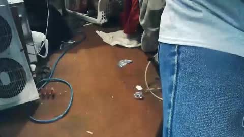 wildman6 online show from April 2026 07:49:01 PM