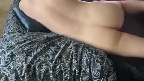 wildtravis online show from February 2026 04:48:01 PM