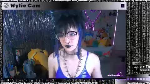 Snapshot of wildwylie chatting on January 2025 03:19:01 AM Wylie Wanderlust online show from January 2025 03:19:01 AM