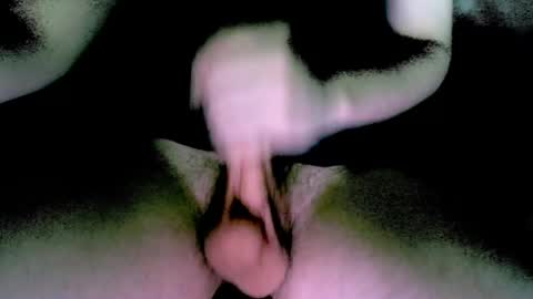 willcox10301 online show from December 2024 06:05:01 PM